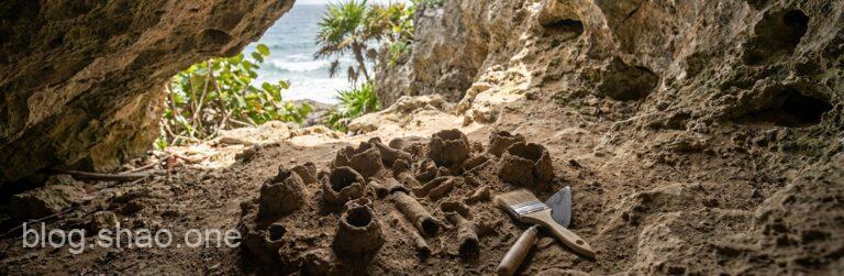 穿越時空的「獨行俠」:加勒比海驚現古老蜜蜂巢穴化石,打破你對蜜蜂的刻板印象! 10 1766224267923