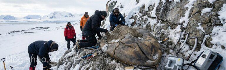 【科技大發現】南極挖到「怪奇物語」?這顆 6800 萬年前的巨蛋,竟打破了生物學教科書! 2 1766388374787