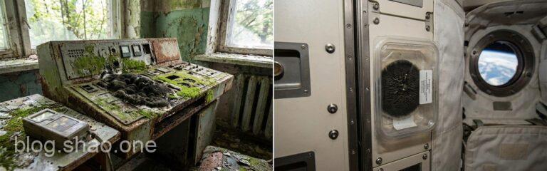 從車諾比廢墟到星辰大海:這款「食輻射」真菌竟成星際旅行的最後一塊拼圖? 3 1766388673554