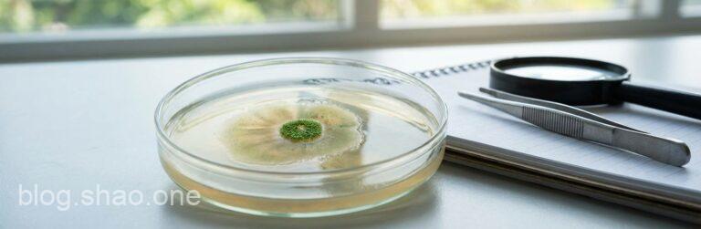 浴火重生的生物奇蹟:破解困擾科學界 50 年的「細胞再生」之謎! 10 1766750758460