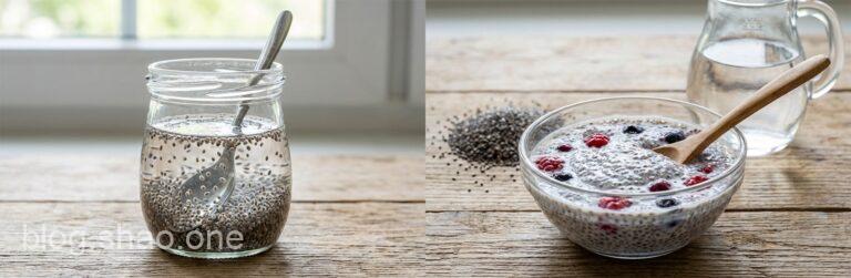 科技人的高效補給:奇亞籽水 vs. 奇亞籽布丁,誰才是「腸胃友善」的 MVP? 11 1767962157617