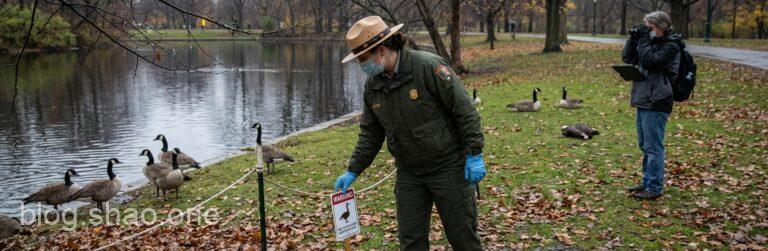 驚!公園驚現「鵝命案」?漢廷頓緊急拉警報,科技防疫如何接招? 11 1768911367774