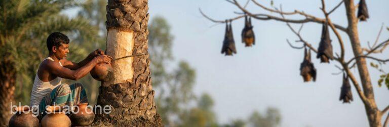 【科技與生物警訊】孟加拉神祕病毒現蹤:致死率驚人,這場「蝙蝠的復仇」沒在開玩笑! 3 1770295010595